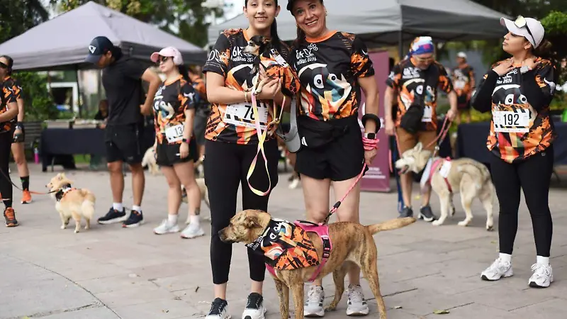 Lomitos protagonizan carrera con causa en apoyo a Huellitas Durango